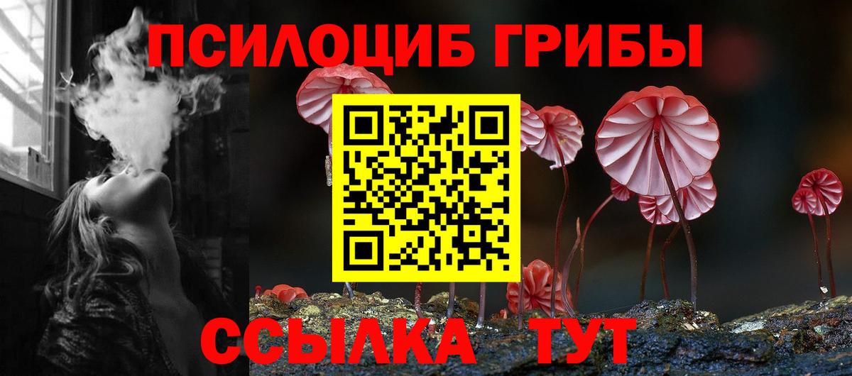 Галлюциногенные грибы Psilocybe Коряжма