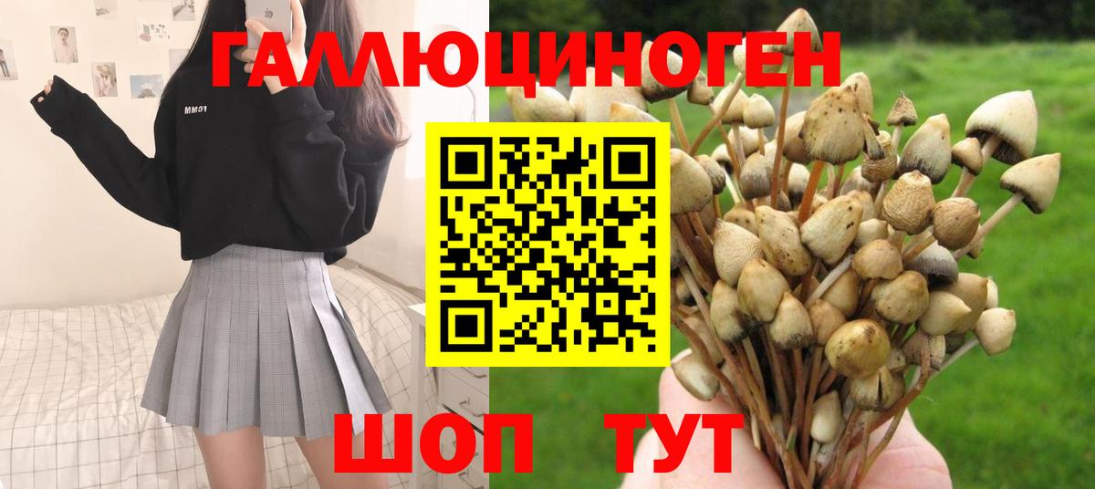 Коряжма  Псилоцибиновые грибы Cubensis  дарнет шоп  Вход с VPN  Псилоцибиновые грибы MAGIC MUSHROOMS 