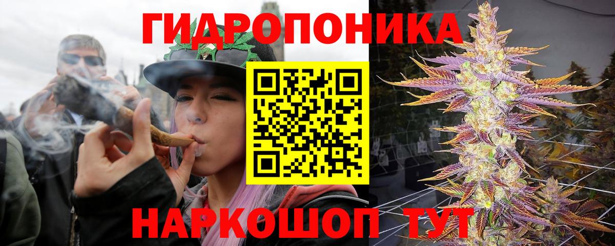Бошки марихуана гибрид  Каннабис Ganja  Конопля Ganja  Вход с VPN  Коряжма 